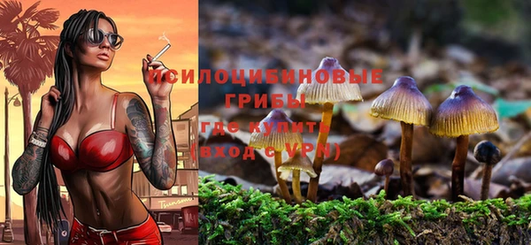 mix Армянск