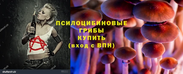 твердый Алзамай